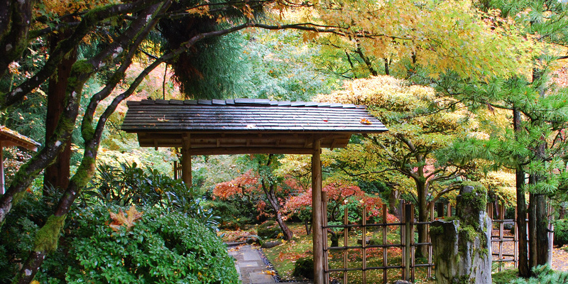 The best way to Use a Wagon-Wheel in a Garden