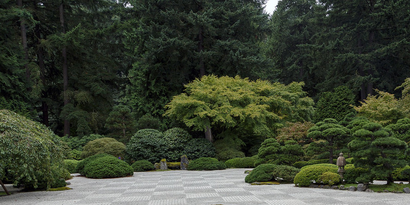 The best way to Plant Arborvitae in a Little Space