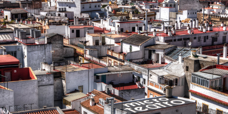 Lessons From an Edible Garden to a City Roof